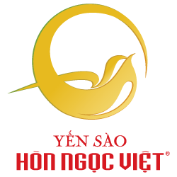 ketnoi